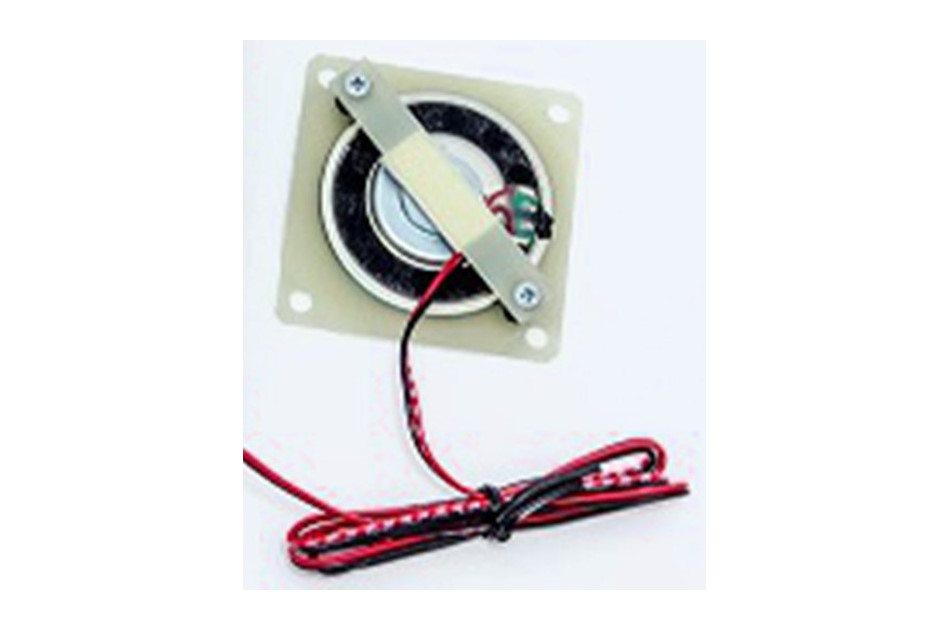 2N - 2N External speaker 3m cable | Digital Key World