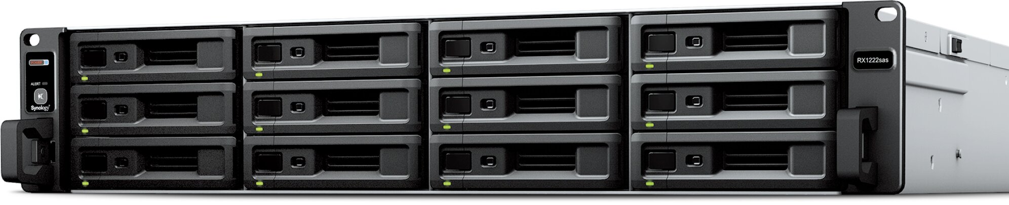 Synology - RX1222sas | Digital Key World