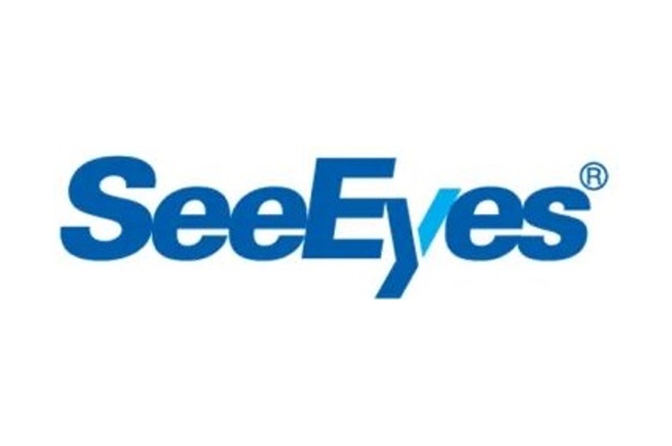 SeeEyes - SC BATTERY SMALL | Digital Key World